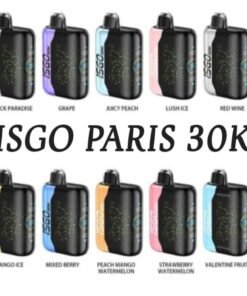 ISGO Paris X 30000 Puffs