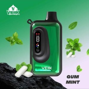 VEIIK Space VKK 20000 Puffs Gum Mint