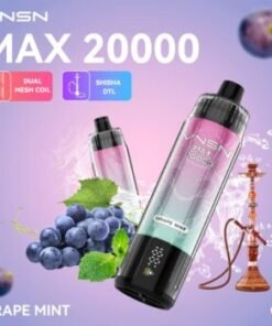 VNSN Max DTL 20000 Puffs Grape Mint