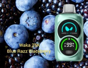 WAKA SoPro PA25000 Disposable Vape Blue Razz Blackberry