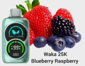 WAKA SoPro PA25000 Disposable Vape Blueberry Raspberry