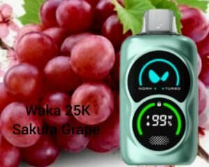 WAKA SoPro PA25000 Disposable Vape Sakura Grape