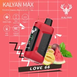 Kalyan Max 18000 Puffs disposable vape Love 66