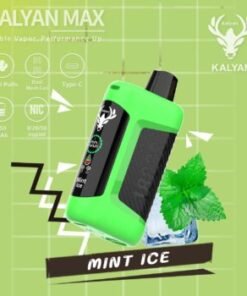 Kalyan Max 18000 Puffs disposable vape mint ice