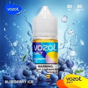 VOZOL Salt Nicotine Vape Juice Blueberry Ice