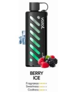 Vozol Gear Shisha 25000 Puffs Disposable Vape berry ice