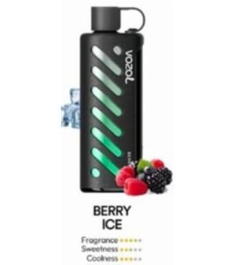 Vozol Gear Shisha 25000 Puffs Disposable Vape berry ice