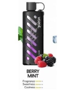 Vozol Gear Shisha 25000 Puffs Disposable Vape berry mint