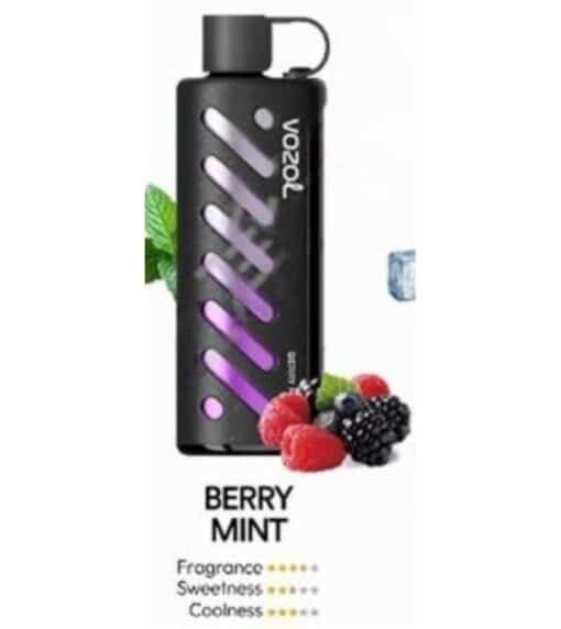 Vozol Gear Shisha 25000 Puffs Disposable Vape berry mint