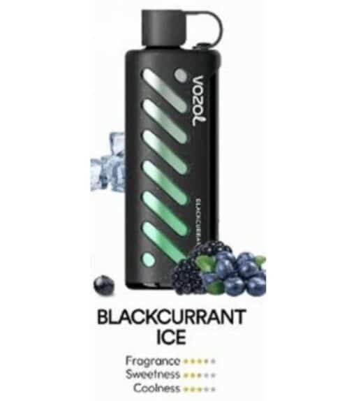 Vozol Gear Shisha 25000 Puffs Disposable Vape blackcurrant ice