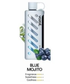 Vozol Gear Shisha 25000 Puffs Disposable Vape blue mojito