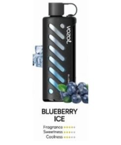 Vozol Gear Shisha 25000 Puffs Disposable Vape blueberry ice