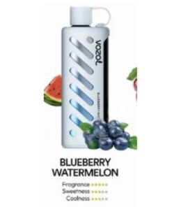 Vozol Gear Shisha 25000 Puffs Disposable Vape blueberry mint