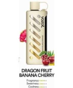 Vozol Gear Shisha 25000 Puffs Disposable Vape dragon fruit banana cherry