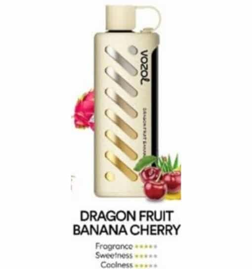 Vozol Gear Shisha 25000 Puffs Disposable Vape dragon fruit banana cherry