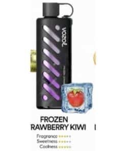 Vozol Gear Shisha 25000 Puffs Disposable Vape frozen rawbery