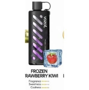 Vozol Gear Shisha 25000 Puffs Disposable Vape frozen rawbery