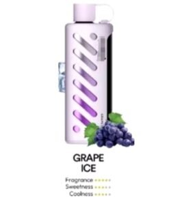 Vozol Gear Shisha 25000 Puffs Disposable Vape grape ice