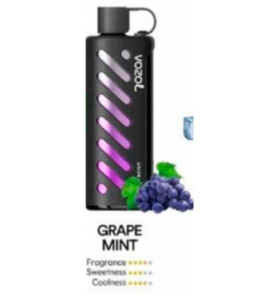 Vozol Gear Shisha 25000 Puffs Disposable Vape grape mint