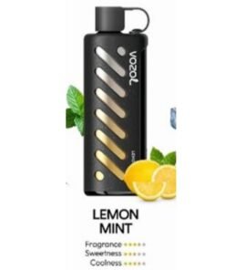 Vozol Gear Shisha 25000 Puffs Disposable Vape lemon mint