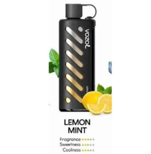 Vozol Gear Shisha 25000 Puffs Disposable Vape lemon mint