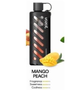 Vozol Gear Shisha 25000 Puffs Disposable Vape mango peach