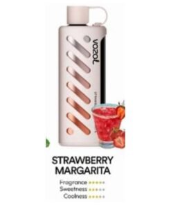 Vozol Gear Shisha 25000 Puffs Disposable Vape strawberry magarita