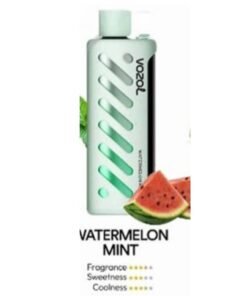 Vozol Gear Shisha 25000 Puffs Disposable Vape watermelon mint