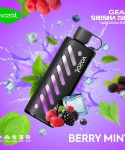 Vozol Gear Shisha 25k Puffs berry mint