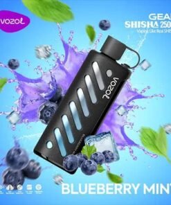 Vozol Gear Shisha 25k Puffs blueberry mint