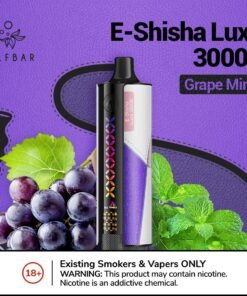 Elf Bar E-Shisha Luxe 30000 grape mint