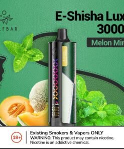 Elf Bar E-Shisha Luxe 30000 melon mint