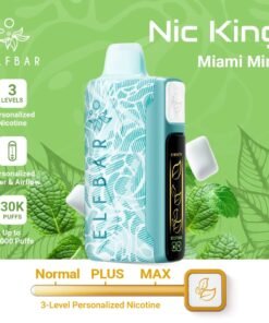 Elf Bar Nic King 30000 Puffs miami mint