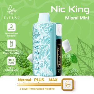 Elf Bar Nic King 30000 Puffs miami mint