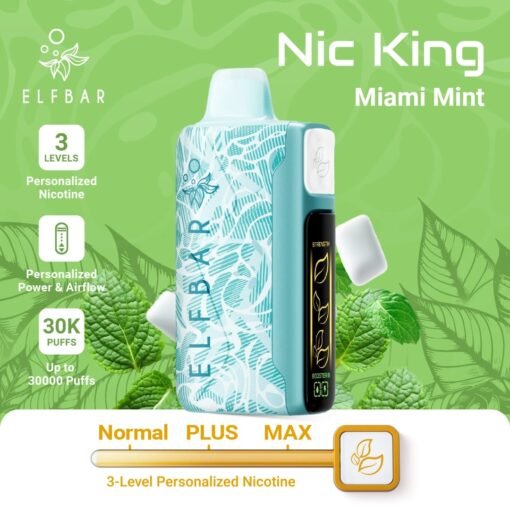 Elf Bar Nic King 30000 Puffs miami mint