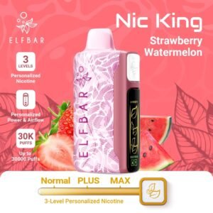 Elf Bar Nic King 30000 Puffs strawberry watermelon