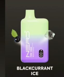 NERD FIRE 10000 Puffs blackcurrant ice