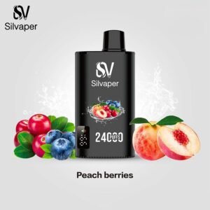 SilVaper Rocket 24000 Puffs peach berries
