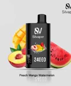 SilVaper Rocket 24000 Puffs peach mango watermelon