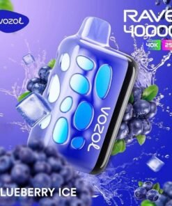 Vozol Rave 40000 Puffs Disposable Vape blueberry ice