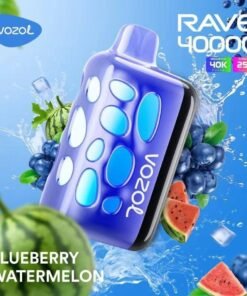 Vozol Rave 40000 Puffs Disposable Vape blueberry watermelon