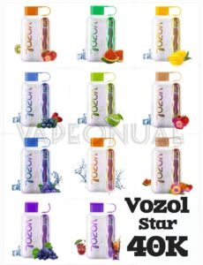 VOZOL STAR 40000 Puffs