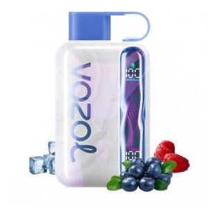 VOZOL STAR 40000 Puffs