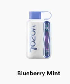 VOZOL STAR 40000 Puffs blueberry mint