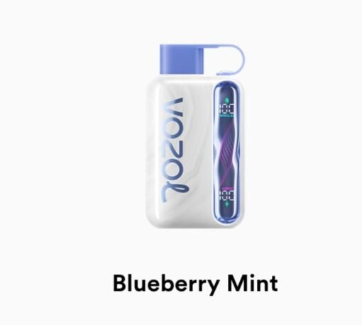 VOZOL STAR 40000 Puffs blueberry mint