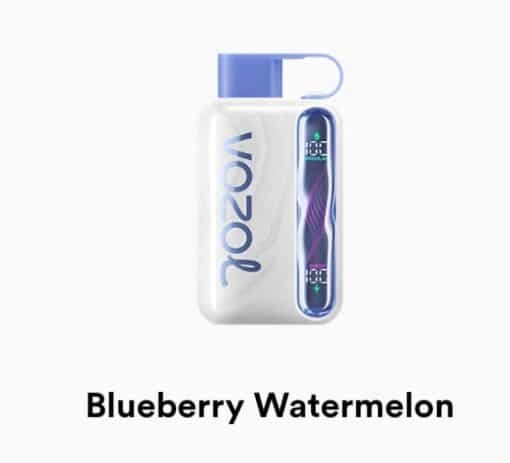 VOZOL STAR 40000 Puffs blueberry watermelon
