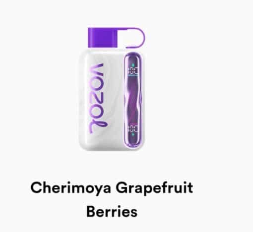 VOZOL STAR 40000 Puffs cherry moya grape fruit berries