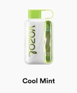 VOZOL STAR 40000 Puffs cool mint