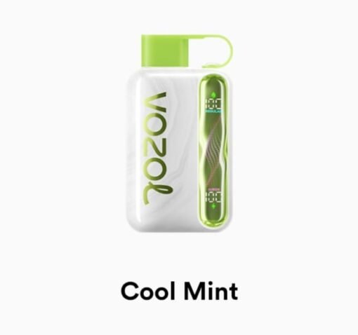 VOZOL STAR 40000 Puffs cool mint