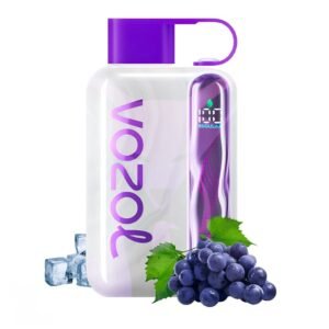 VOZOL STAR 40000 Puffs